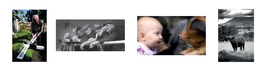Champion Bowland greeting cards thumbnails