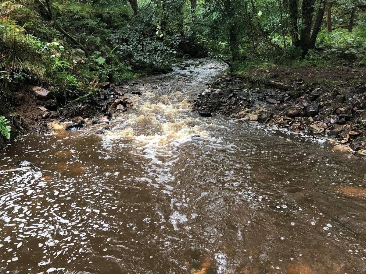 Smithy Beck_Wyre Rivers Trust Smithy Beck_Wyre Rivers Trust