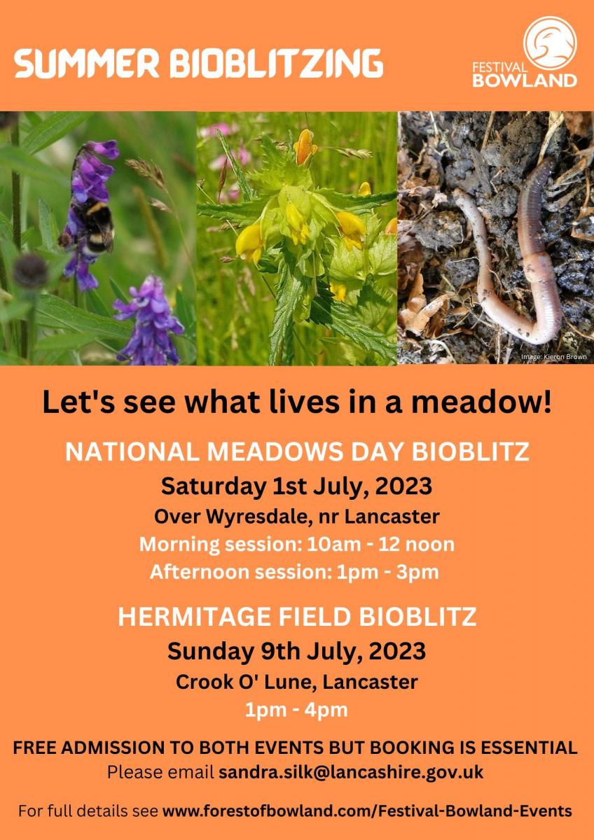Summer BioBlitz events poster Summer BioBlitz events poster