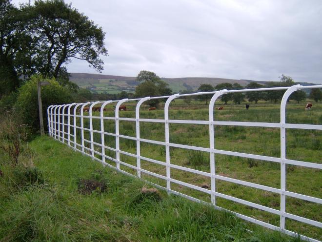 White railings (credit to Forest of Bowland AONB)
